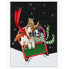 Masala Cards Dogs & Cats Sleighride Card