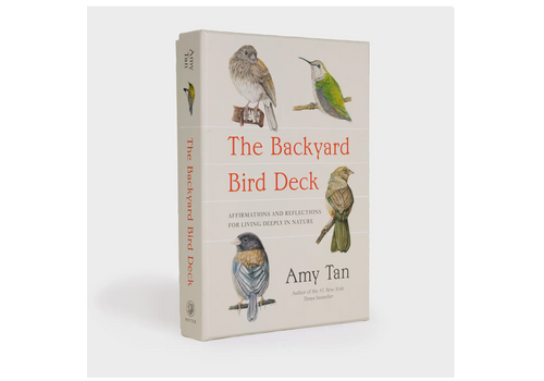  The Backyard Bird Deck 