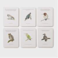 The Backyard Bird Deck