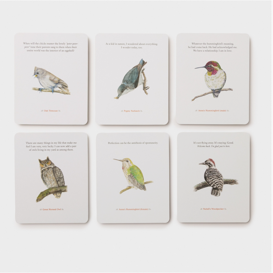 The Backyard Bird Deck