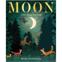 Moon: A Peek-Through Board Book