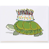 Turtle with Cake Birthday Card