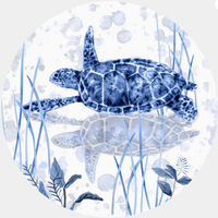 Sea Turtle Jar Opener