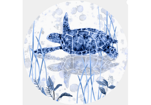  Andreas Sea Turtle Jar Opener 