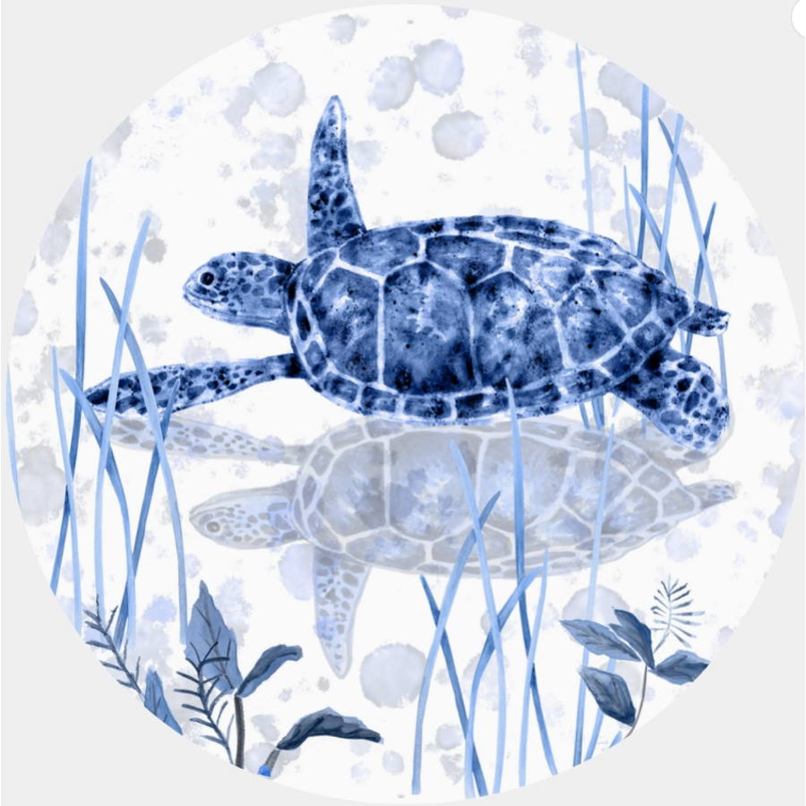 Sea Turtle Jar Opener