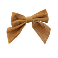 Velvet Clip-On Bow