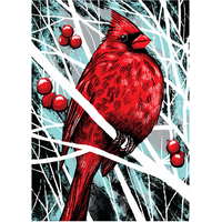 Cardinal with Berries Boxed Cards