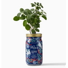 Modern Sprout Holiday Herb Garden Jar Peace & Love