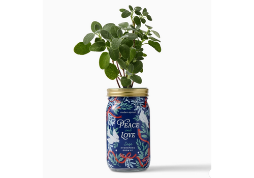  Modern Sprout Holiday Herb Garden Jar Peace & Love 