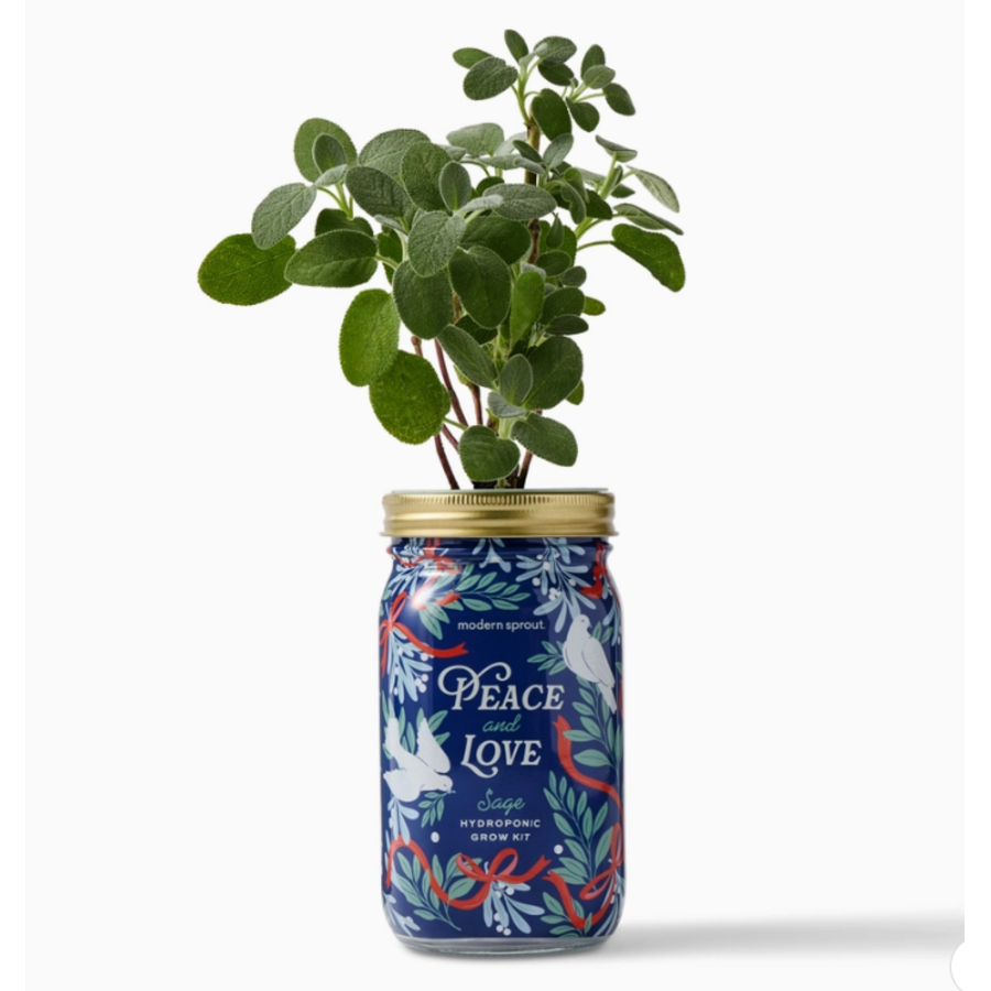 Holiday Herb Garden Jar Peace & Love