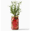 Modern Sprout Holiday Herb Garden Jar Merry & Bright