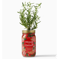Holiday Herb Garden Jar Merry & Bright