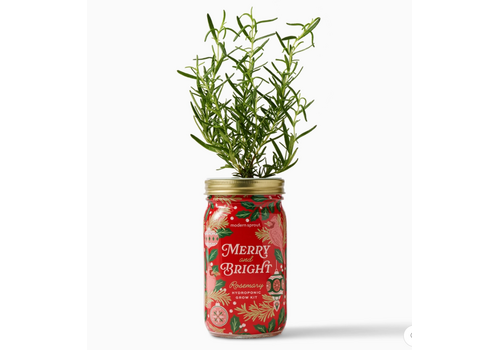  Modern Sprout Holiday Herb Garden Jar Merry & Bright 