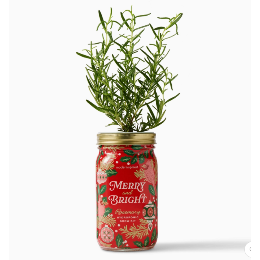 Holiday Herb Garden Jar Merry & Bright