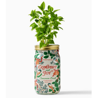 Holiday Herb Garden Jar Comfort & Joy