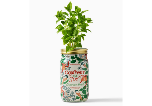  Modern Sprout Holiday Herb Garden Jar Comfort & Joy 