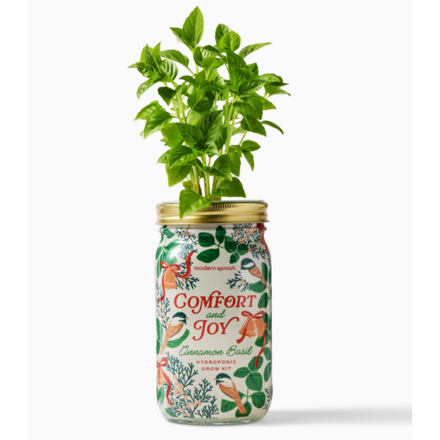 Holiday Herb Garden Jar Comfort & Joy