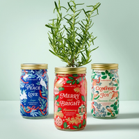 Holiday Herb Garden Jar Comfort & Joy