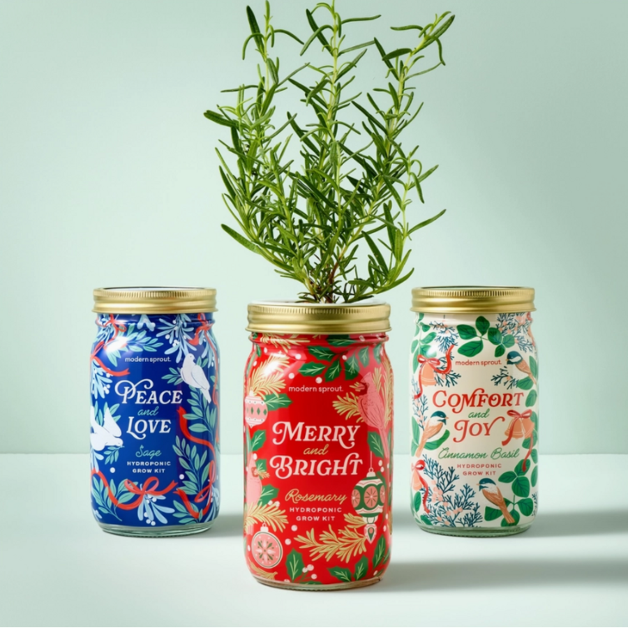 Holiday Herb Garden Jar Comfort & Joy