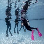 TSC Discover Scuba Experience