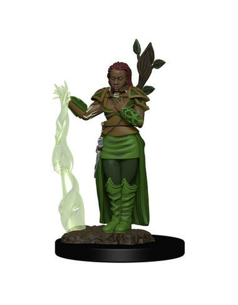 Wizkids D&D - Icons of the Realms - Premium Miniature - Human Female Druid