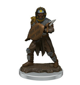 Wizkids D&D - Icons of the Realms Premium Miniatures - Male Human Fighter (Wave 7)