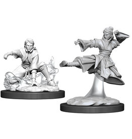 Wizkids D&D: Nolzur's Marvelous Minis - Human Monk Female