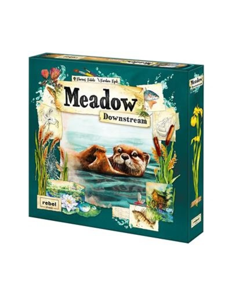 Rebel Meadow Downstream Expansion