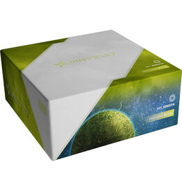 Unsettled: 007 Koguya