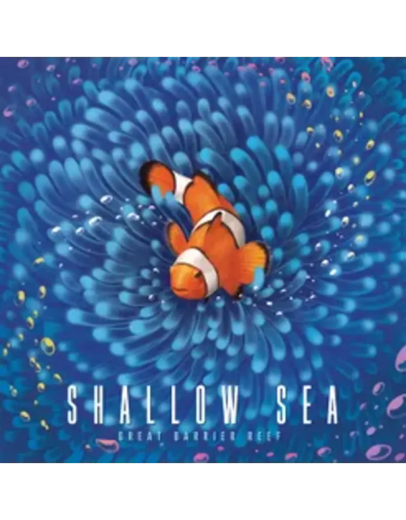 Bad Comet Shallow Sea