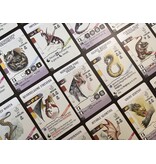 Stonemaier Games Wyrmspan: Dragon Academy