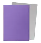 Arcane Tinmen Dragon Shield: Matte Dual Nebula & Silver (100)