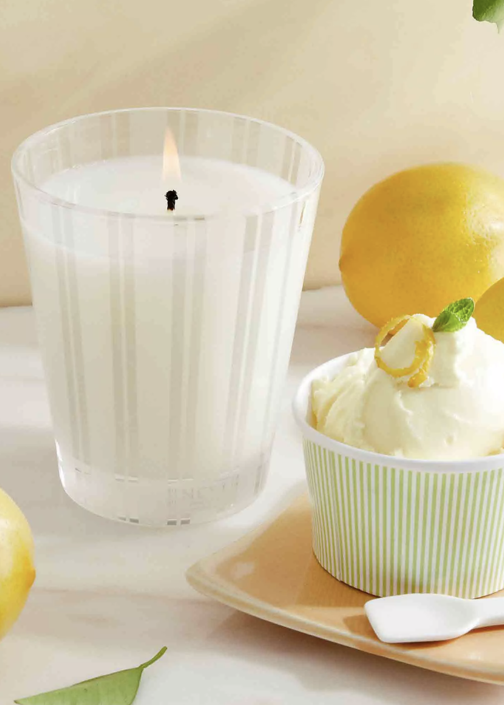 Nest Nest-Amalfi Lemon & Mint 8.1oz Candle