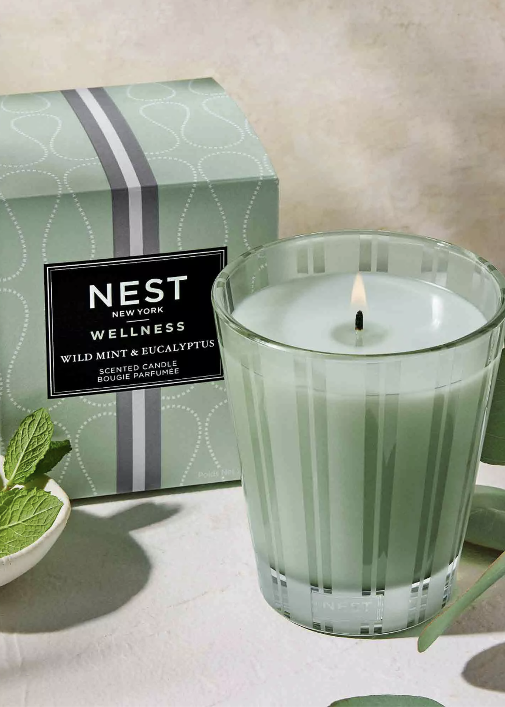 Nest Nest-Wild Mint & Eucalyptus 8.1oz Candle