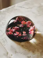 Jamie Beck Paper Weight - Sea of Pink Roses