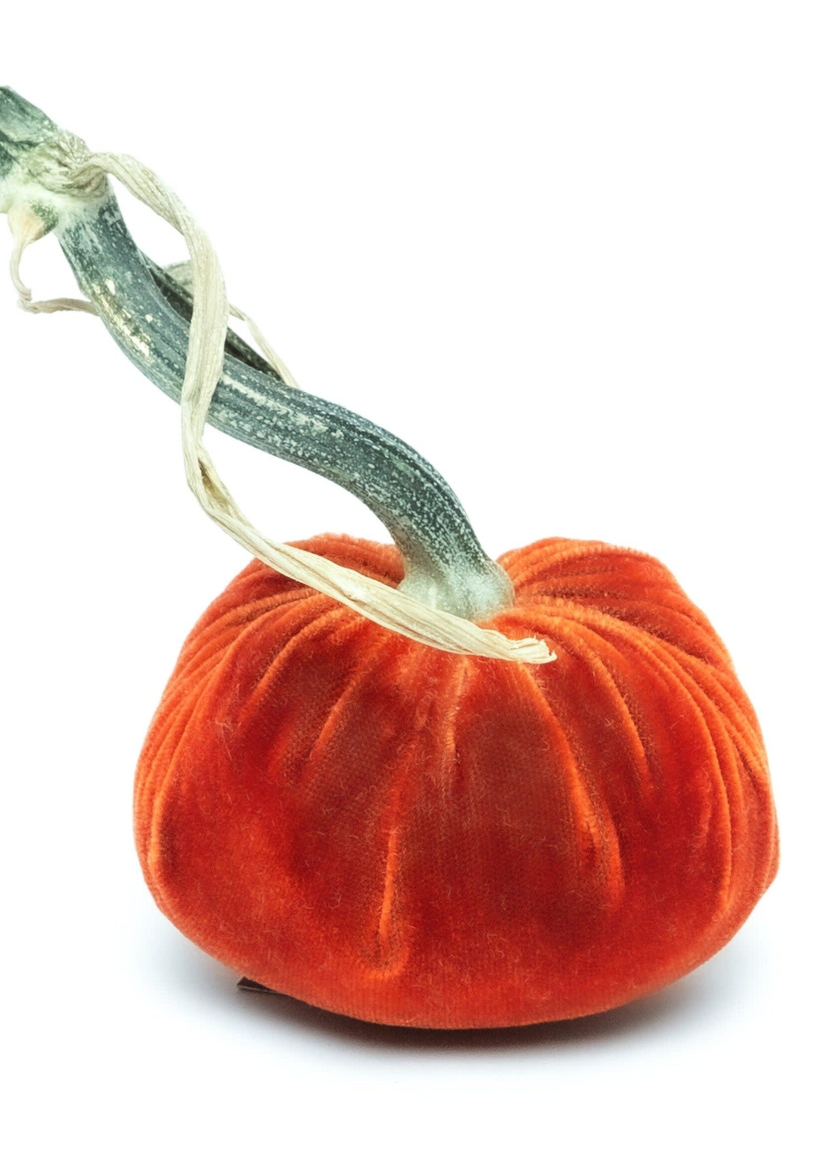 Hot Skwash Hot Skwash 3" Apricot Velvet Pumpkin