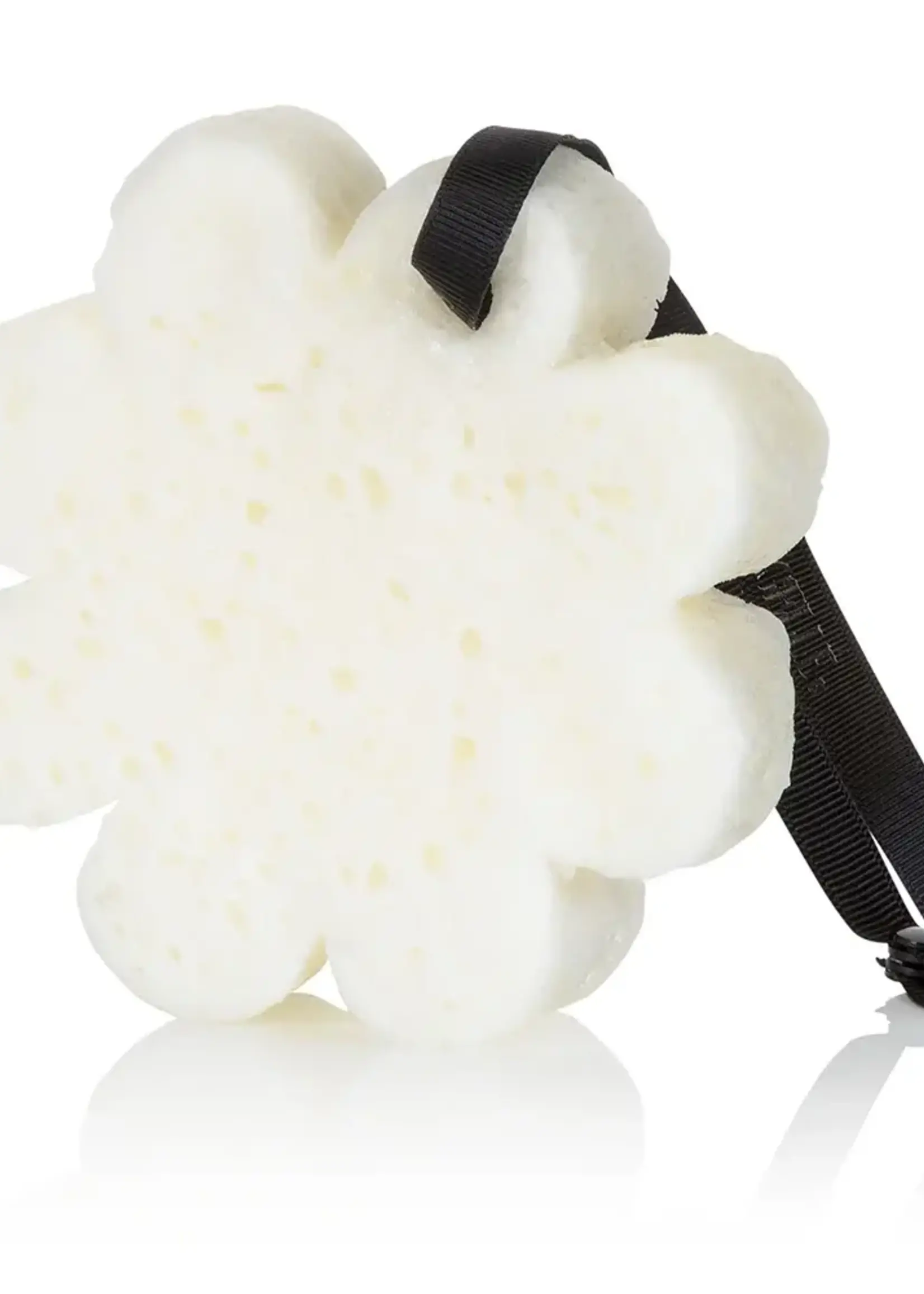 Spongelle Tobacco Vanilla | Boxed Flower