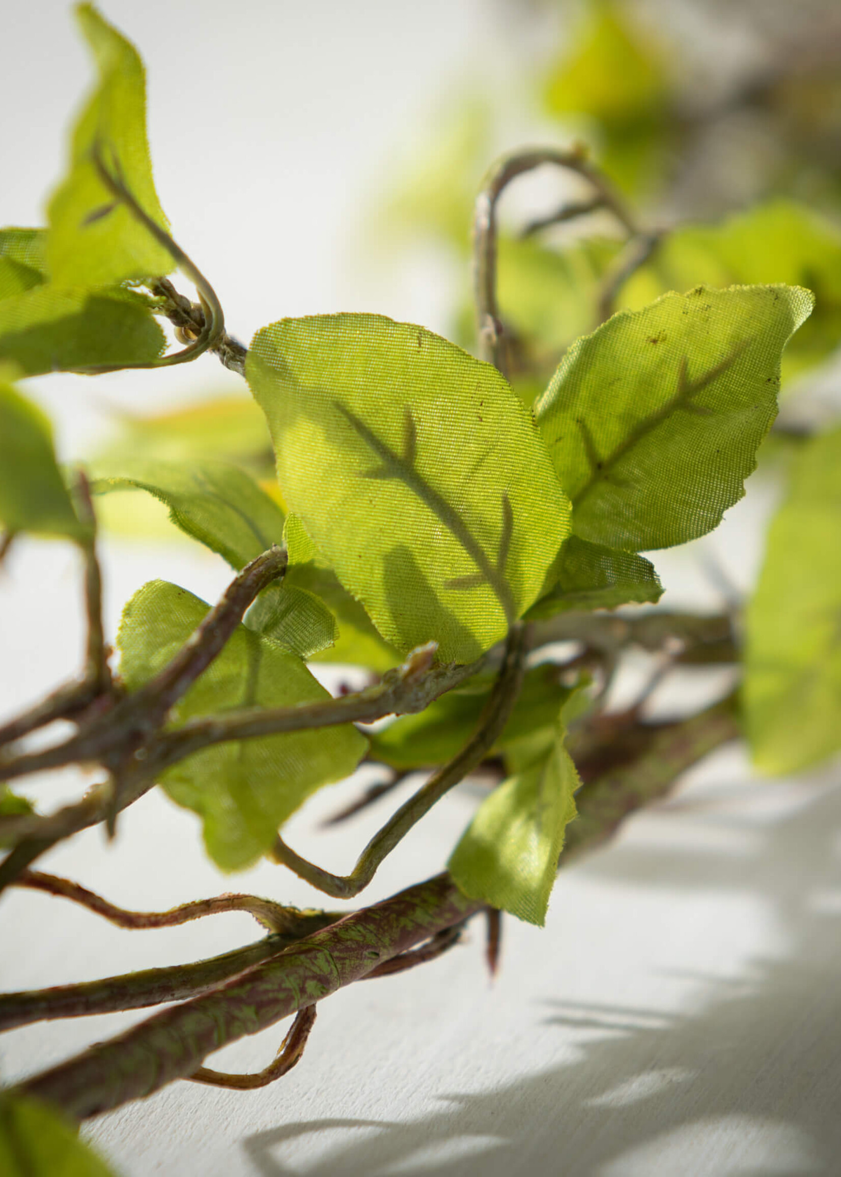 Sullivans Leaf & Twig Garland