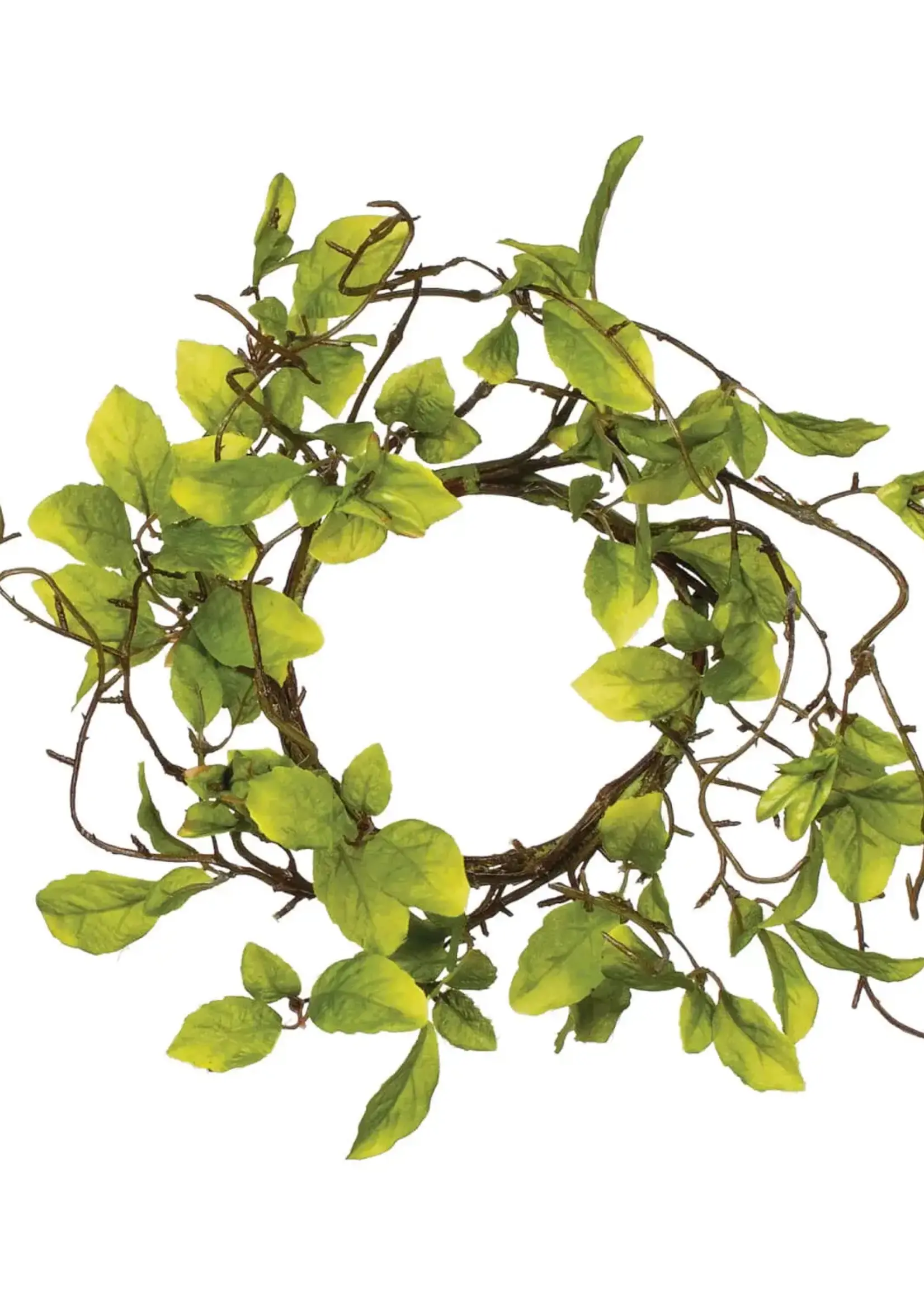 Sullivans Leaf & Twig Wreath
