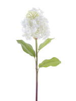 American Best 25" Cone Hydrangea Stem | Fresh Touch White