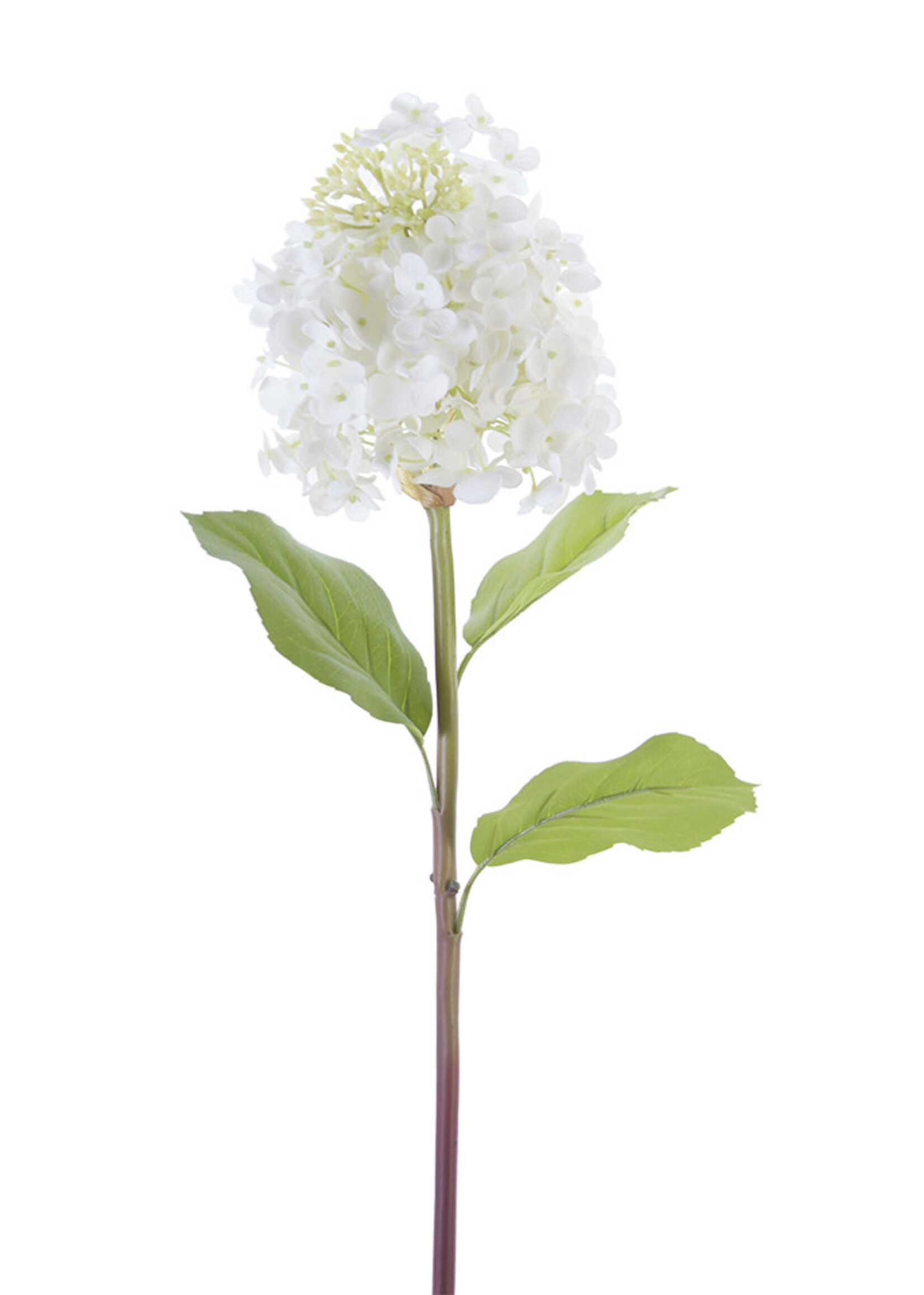 American Best 25" Cone Hydrangea Stem | Fresh Touch White