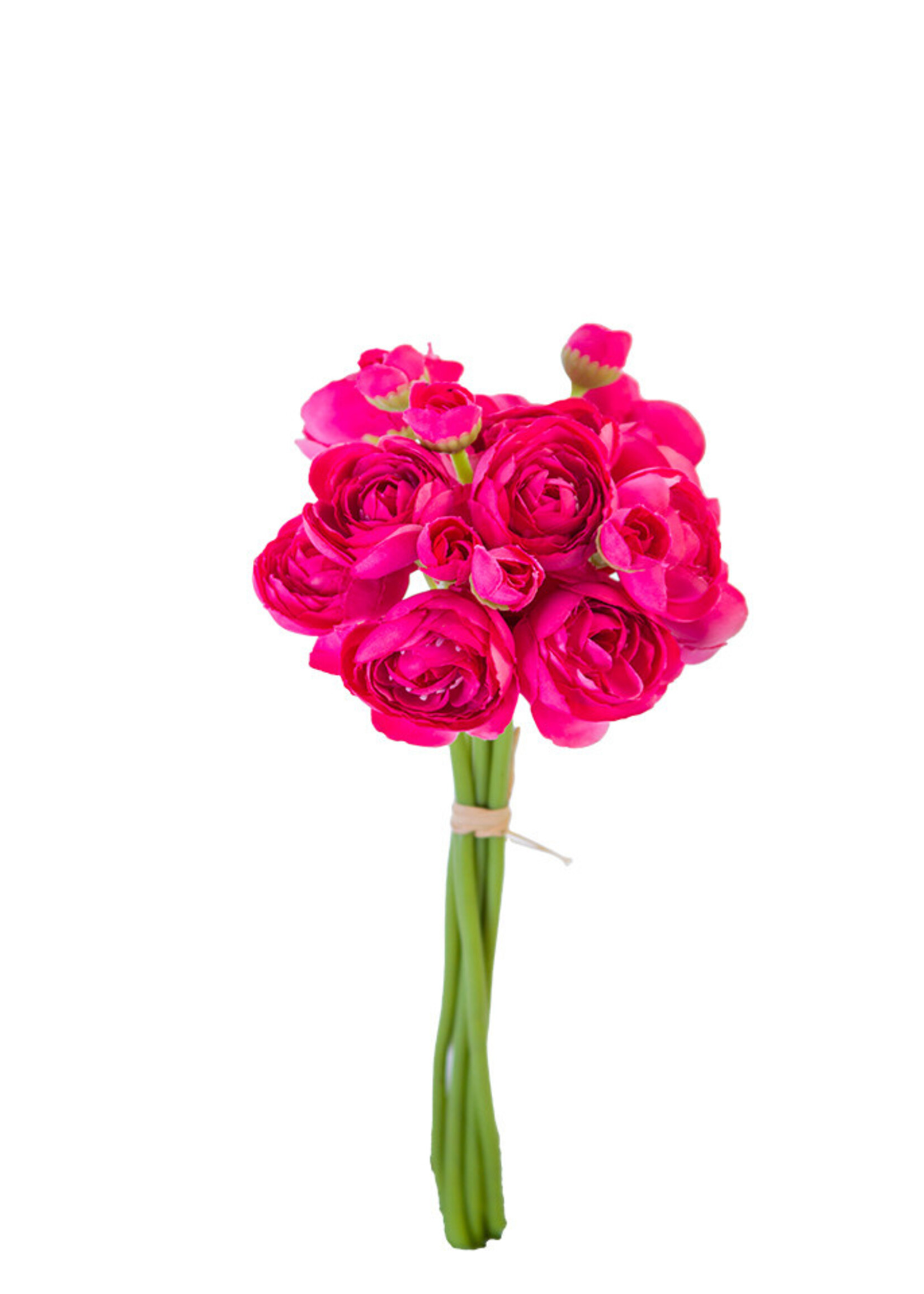 American Best 11" Mini Ranunculus Bundle | Fuchsia