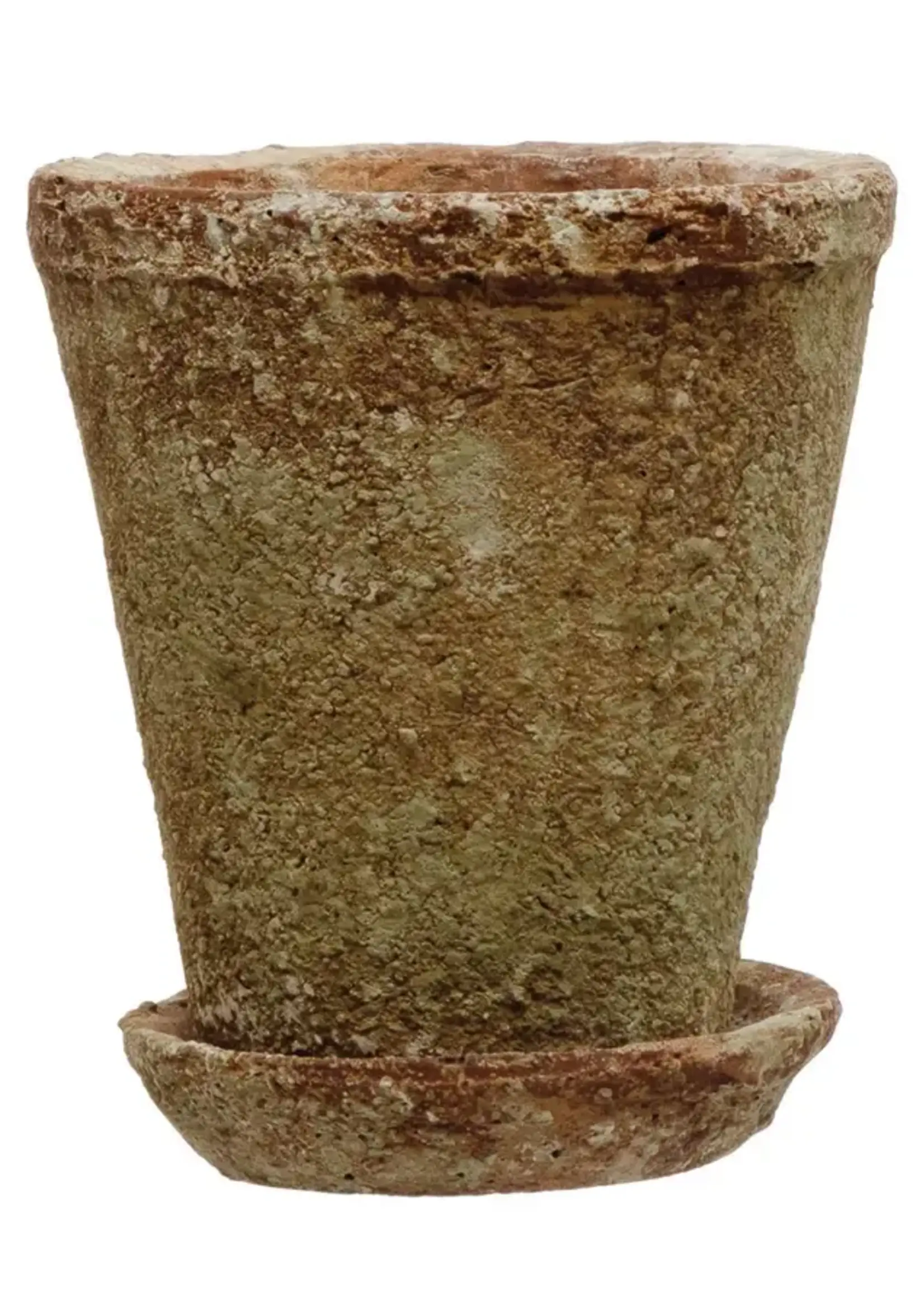 Creative Co-op Distressed Cement Planter with Saucer