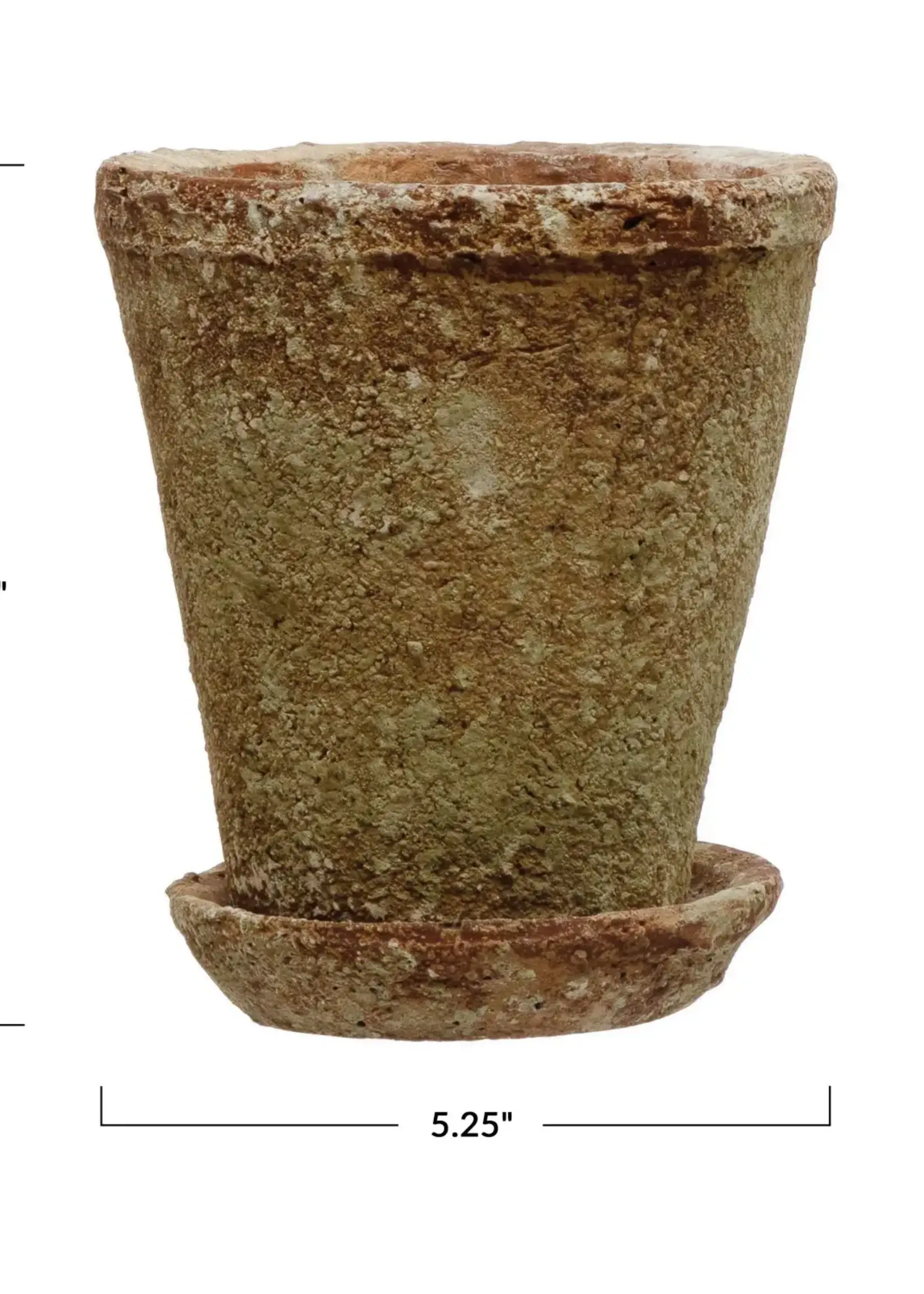 Creative Co-op Distressed Cement Planter with Saucer