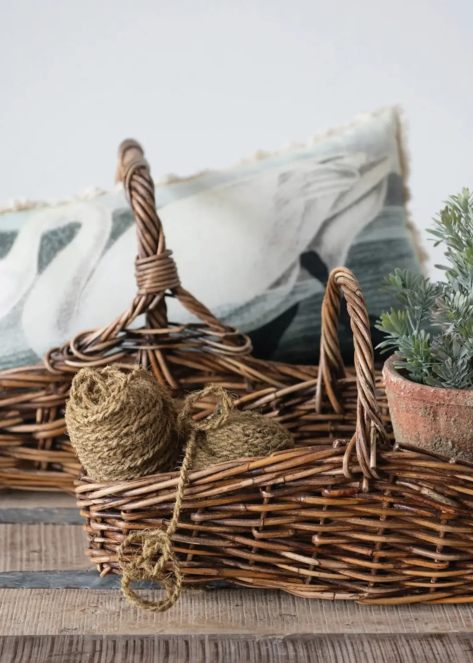 Creative Co-op Distressed Cement Planter with Saucer