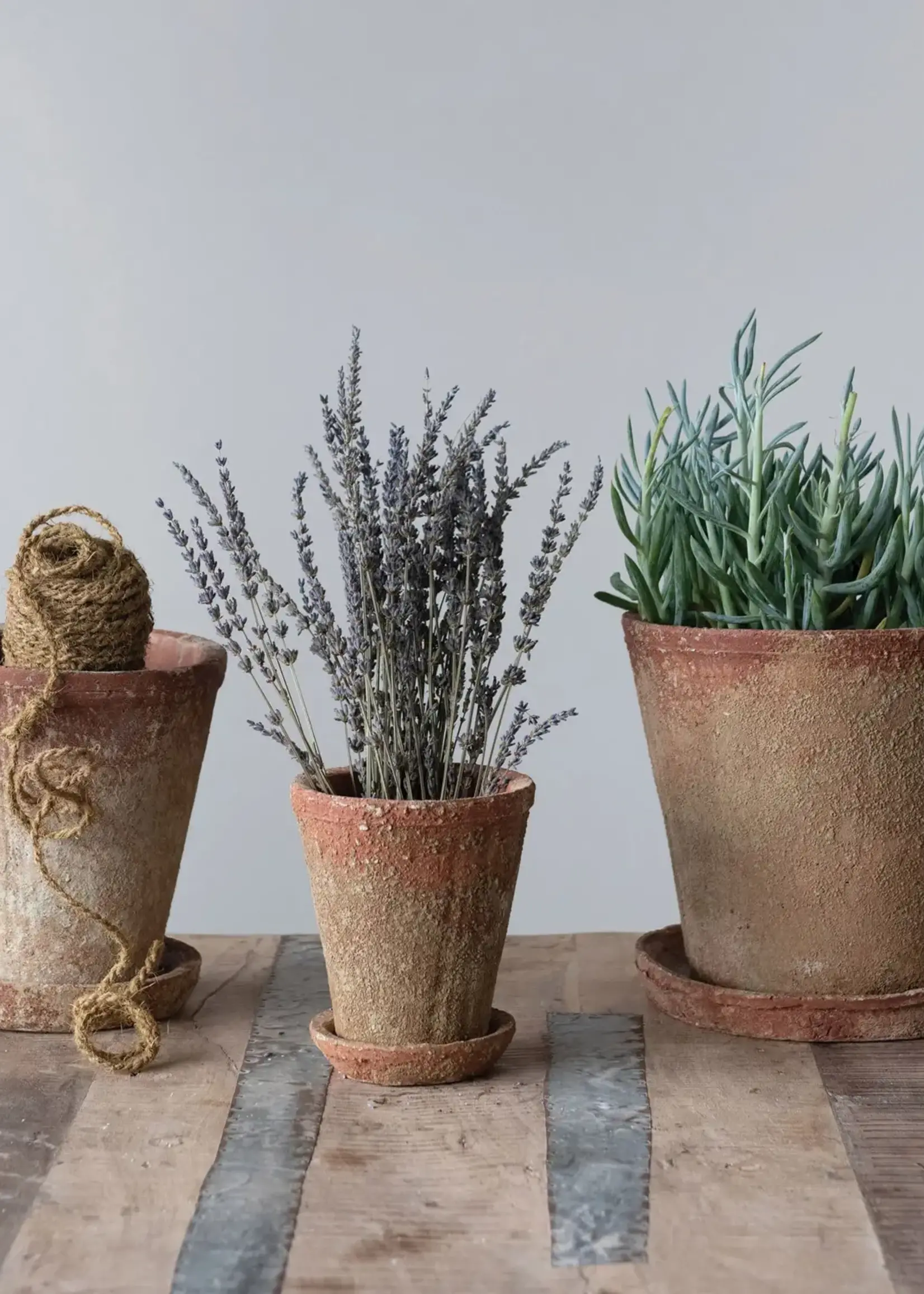 Creative Co-op Distressed Cement Planter with Saucer
