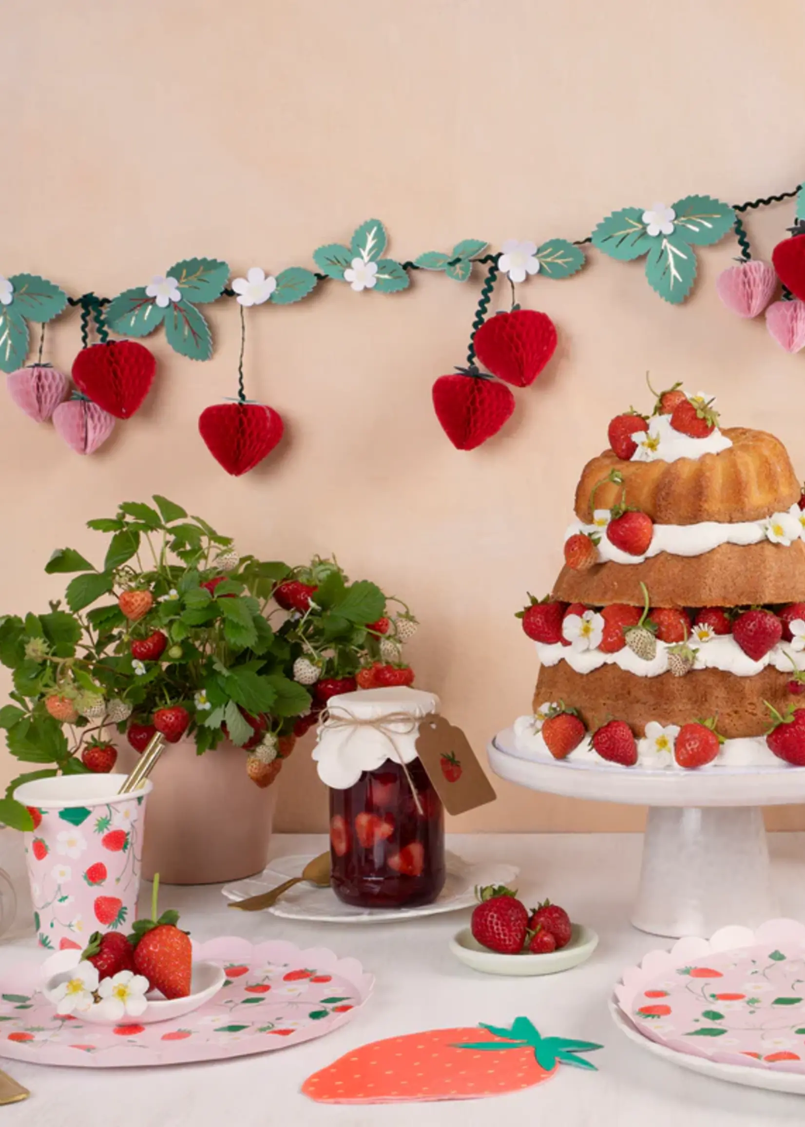 Meri Meri Strawberry Pattern Dinner Plates