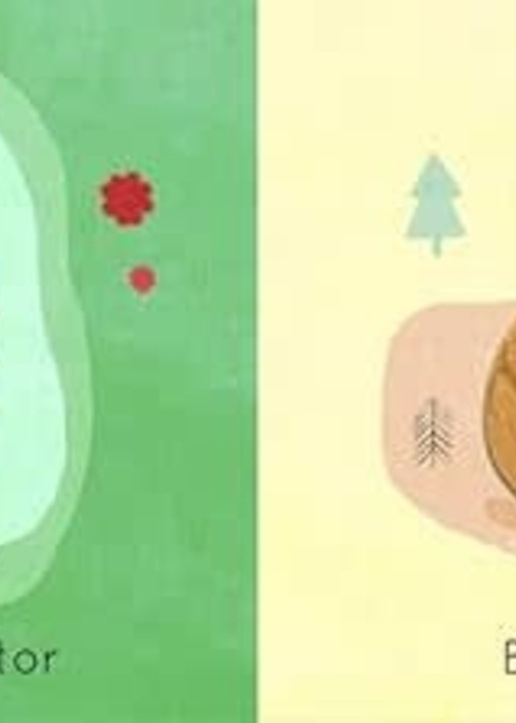 A to Z - An Alphabet of Animals
