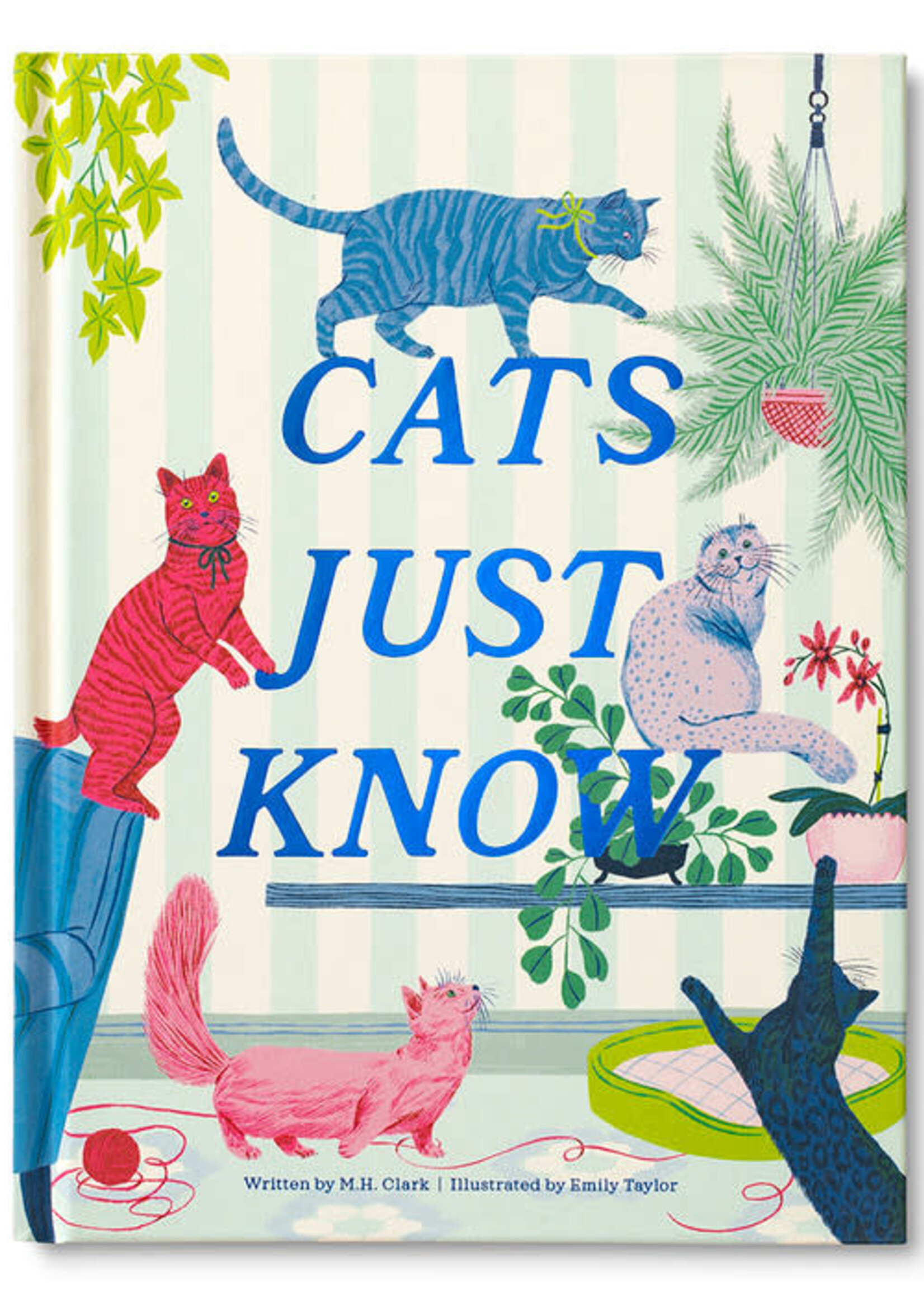 Compendium 10988 Cats Just Know