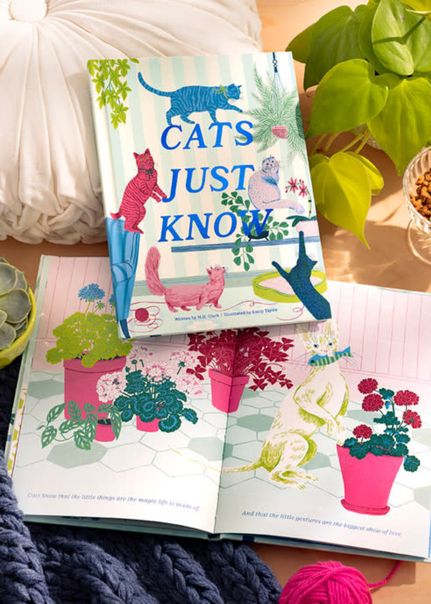 Compendium 10988 Cats Just Know